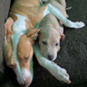 Meet your Posher, Juan